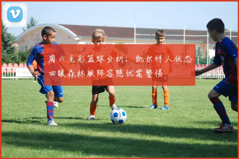 周六竞彩篮球分析：凯尔特人状态回暖森林狼阵容隐忧需警惕