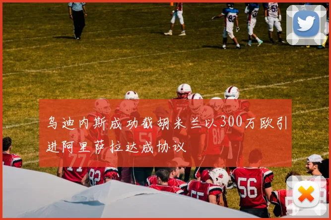 乌迪内斯成功截胡米兰以300万欧引进阿里萨拉达成协议