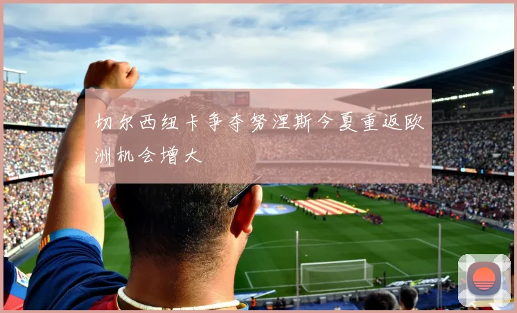 切尔西纽卡争夺努涅斯今夏重返欧洲机会增大