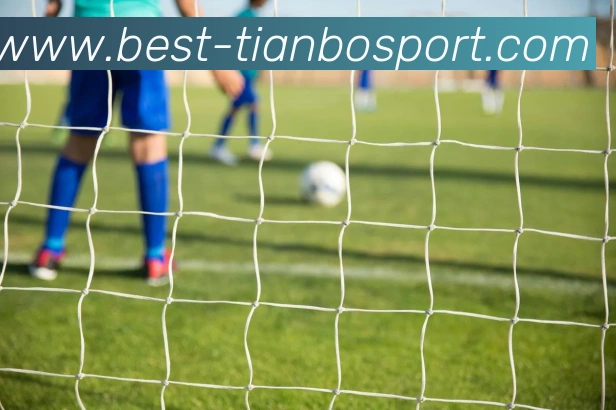 天博体育APP 封面图